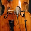 Microfon de studio Neumann TLM 103
