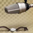Microfon de studio Neumann TLM 103