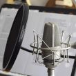 Microfon de studio Neumann TLM 103