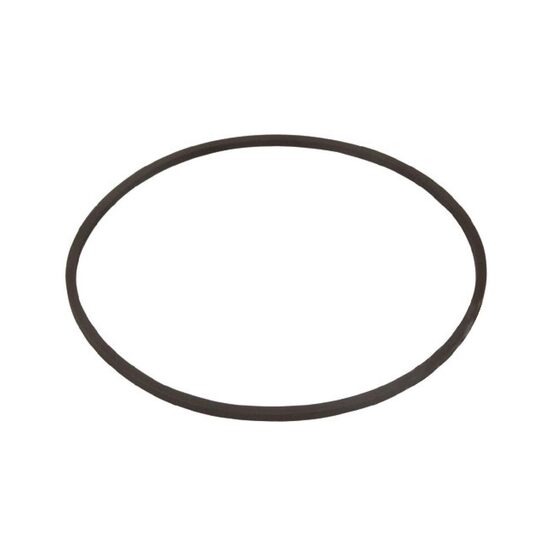 Curea patrata, 81 x 2.0mm
