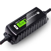 Incarcator inteligent acumulatori 6V/12V EverActive, microprocesor