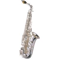 Saxofon alto J.Michael AL-900S , argintat