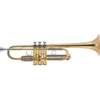Trompeta J.Michael TRC-440