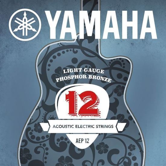 Corzi chitara acustica 12-53 Yamaha AEP12 phosphor bronze , light