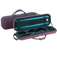 Cutie vioara 4/4 Carlo Giordano OBL-200L WRD