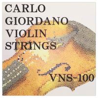 Corzi vioara 4/4 Carlo Giordano