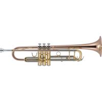 Trompeta J.Michael TR-450