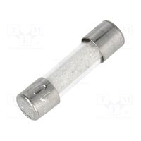 Siguranta cu intarziere 5x20mm 10A 250VAC