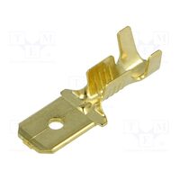 Terminal plat 6.3mm, 0.8mm, tata 1-2.5mm2 crimpat, pe cablu