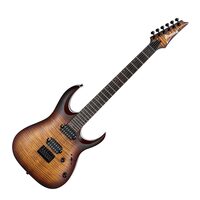 Chitara electrica Ibanez RGA42FM-DEF