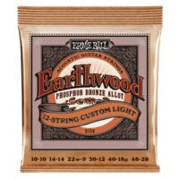 Corzi chitara acustica 12 corzi Custom Light 10-48 Ernie Ball Earthwood 2152, Phosphor Bronz