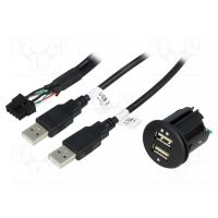 Alimentare auto, USB A soclu x2, tens.alim 12-24VDC, 5V/2x2, 1A