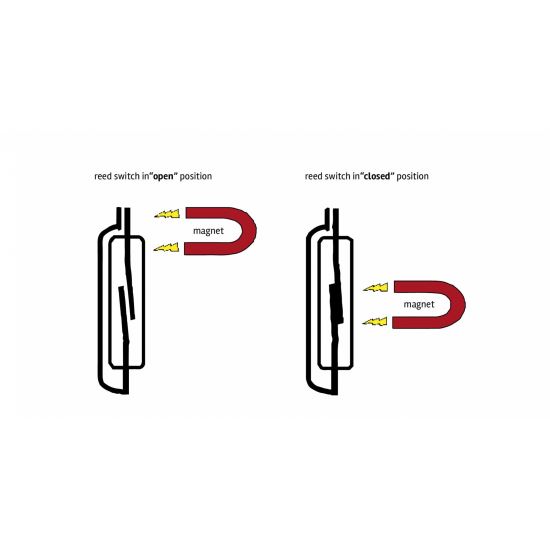 Releu REED capsula din plastic