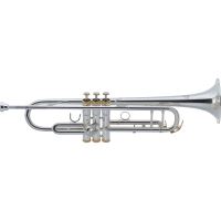 Trompeta J.Michael TR-500(S)