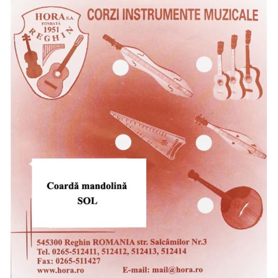Corzi mandolina Sol (G) Hora metal, pereche