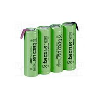 Acumulator 4.8v 2100 mAH Tecxus